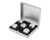 Aluminum Dice 5 Pieces 16mm Alloy Dice with Case