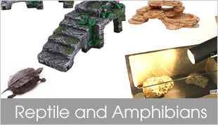 Reptile and Amphibians