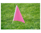 Small Flags Mini Handheld Flags on Stick for Parades