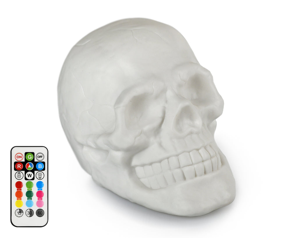 Night Light Dimmable Lamp 3D Skull Light Touch Control Comes with Remo ...