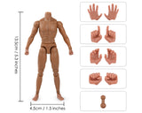 1/12 Scale Male Body Narrow Shoulder Standard 6 Inch Action Figure with 10 Interchangeable Hands