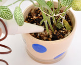 Ceramic Self Watering Probes for Potted Plant