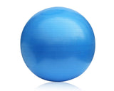 65cm Anti Burst Yoga Exercise Ball - Purple