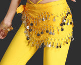 Belly Dance Skirt 10 Pieces Hip Scarves with Dangling Silver Coins