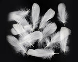 400 Pieces Decorative Feathers for Craft, Party - White