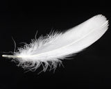 400 Pieces Decorative Feathers for Craft, Party - White