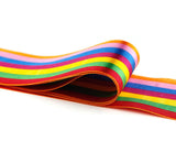 Dance Ribbons 2m Rhythmic Gymnastics Ribbon for Kids