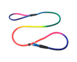 Dog Training Leash 4 Feet Dog Slip Lead Training Lead