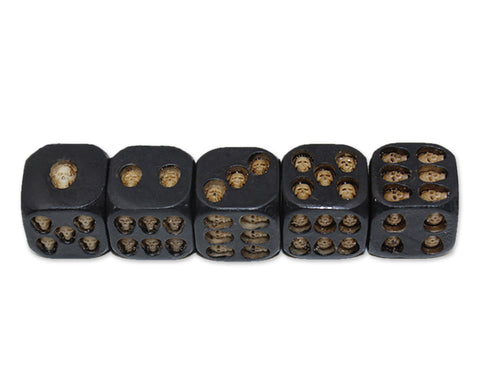 Skull Dice 5 Pieces 18mm Resin Dice - Black