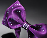 Men's Wedding Bow Tie with Dazzling Swarovski Crystal - Purple