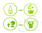 Luminous Plant Phone Strap