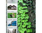 10 Pcs Simple Style Photo Frame Set for Fujifilm Instax Mini 210 Films