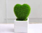 Mini Decorative Artificial Plant