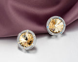 Gorgeous Circle Bling Swarovski Crystal Stud Earrings