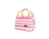 Trendy Insulated Thermal Picnic Lunch Bag with Zipper