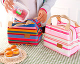 Trendy Insulated Thermal Picnic Lunch Bag with Zipper