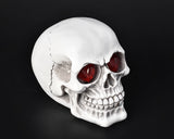 Halloween Decoration Terror Resin Skull Ornament w/ LED Light - Smooth