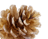 6 Pcs Pinecone Ornament for Christmas Tree - Brown