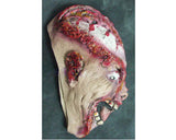Halloween Party Masquerade Terrorist Rotten Head Horror Scary Mask