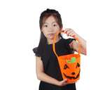 Big Pumpkin Halloween Candy Bag