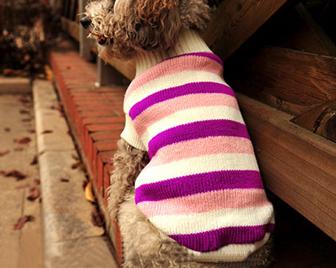 Vintage Striped Pet Dog Custom Turtleneck Sweater