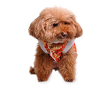 Chinese Traditional Style Dog Costume Pet Clothes - Red
