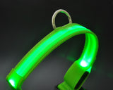 Bright Series Pet Dog Collar with LED Light