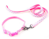 Star Series Pet Dog Collar and Leash Set