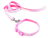 Star Series Pet Dog Collar and Leash Set