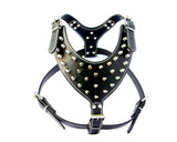 Punk Series Spiked Pet Dog Harness
