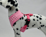 Dots Series Pet Dog Harness