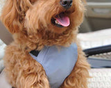 Nylon Series Pet Dog Harness