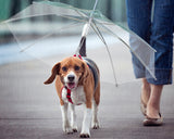 Pet Dog Umbrella with Dog Leash - Transparent