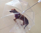 Pet Dog Umbrella with Dog Leash - Transparent