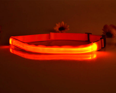 LED Running Waist Belt - Orange