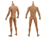 1/6 Scale Male Body Narrow Shoulder Standard 12 Inch Action Figure with 8 Interchangeable Hands