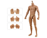 1/6 Scale Male Body Narrow Shoulder Standard 12 Inch Action Figure with 8 Interchangeable Hands